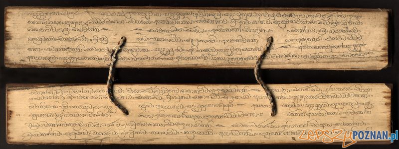 Kanon palijski, Sri Lanka XIX() w Foto: Muzeum Archeologiczne w Poznaniu Kanon palijski, Sri Lanka XIX() w Foto: Muzeum Archeologiczne w Poznaniu