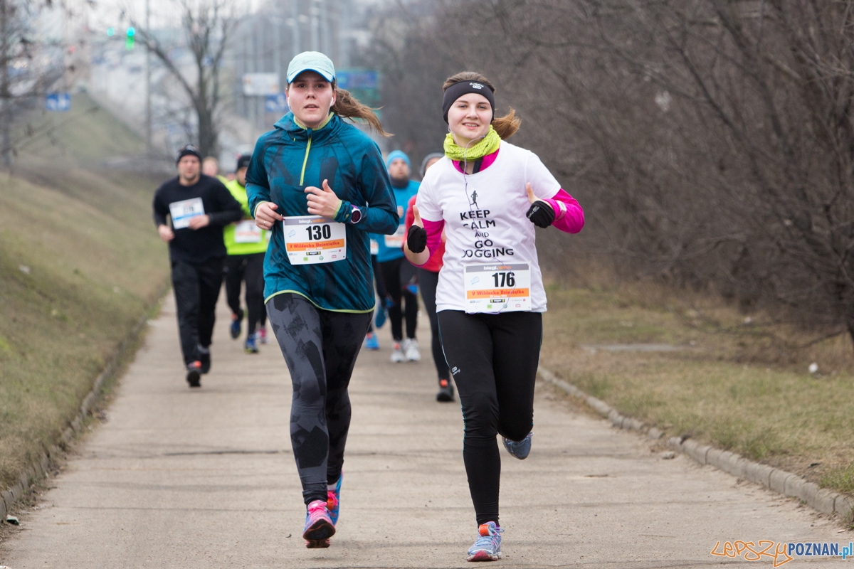 V Wildecka Dziesiątka Foto: lepszyPOZNAN.pl / Piotr Rychter V Wildecka Dziesiątka Foto: lepszyPOZNAN.pl / Piotr Rychter