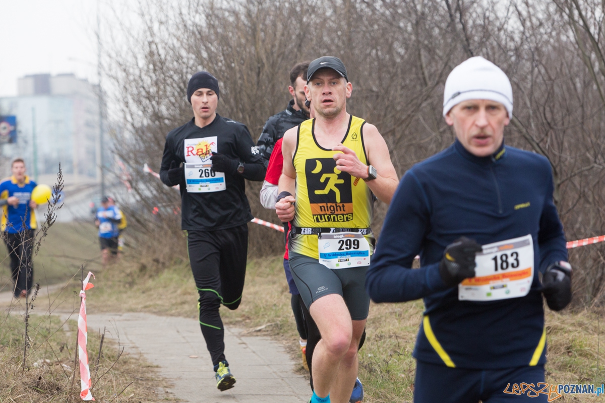 V Wildecka Dziesiątka Foto: lepszyPOZNAN.pl / Piotr Rychter V Wildecka Dziesiątka Foto: lepszyPOZNAN.pl / Piotr Rychter