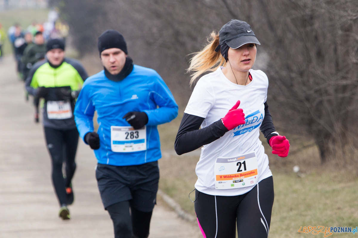 V Wildecka Dziesiątka Foto: lepszyPOZNAN.pl / Piotr Rychter V Wildecka Dziesiątka Foto: lepszyPOZNAN.pl / Piotr Rychter