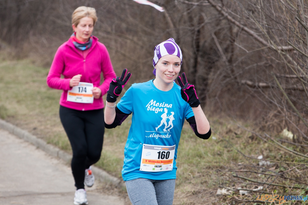 V Wildecka Dziesiątka Foto: lepszyPOZNAN.pl / Piotr Rychter V Wildecka Dziesiątka Foto: lepszyPOZNAN.pl / Piotr Rychter