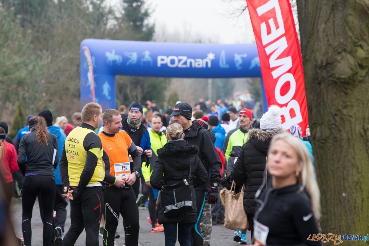 V Wildecka Dziesiątka Foto: lepszyPOZNAN.pl / Piotr Rychter V Wildecka Dziesiątka Foto: lepszyPOZNAN.pl / Piotr Rychter