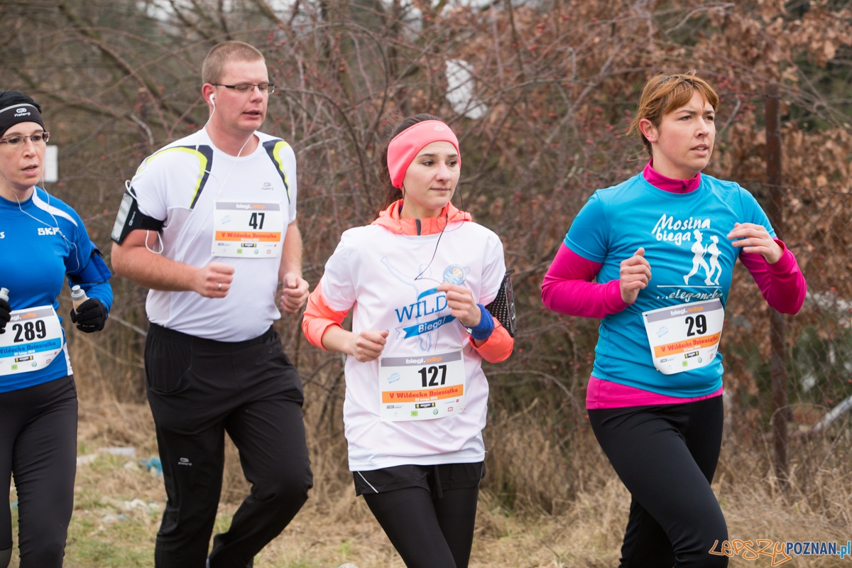 V Wildecka Dziesiątka Foto: lepszyPOZNAN.pl / Piotr Rychter V Wildecka Dziesiątka Foto: lepszyPOZNAN.pl / Piotr Rychter
