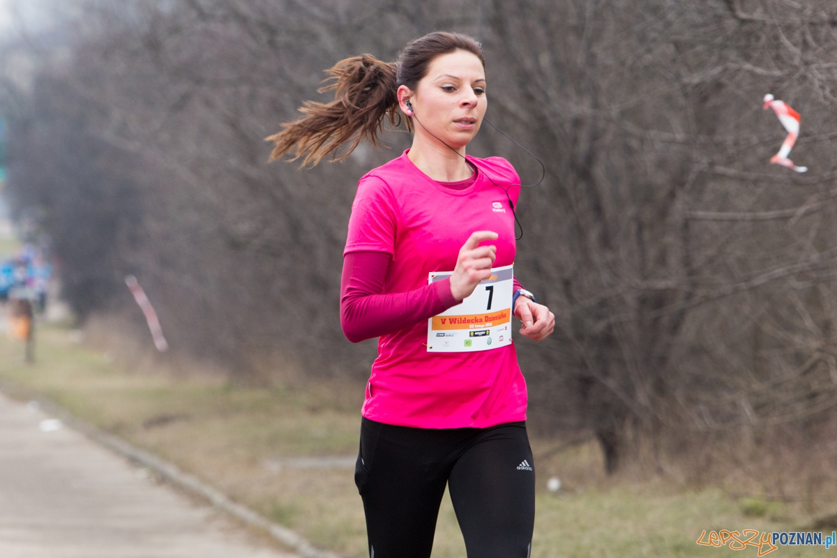 V Wildecka Dziesiątka Foto: lepszyPOZNAN.pl / Piotr Rychter V Wildecka Dziesiątka Foto: lepszyPOZNAN.pl / Piotr Rychter