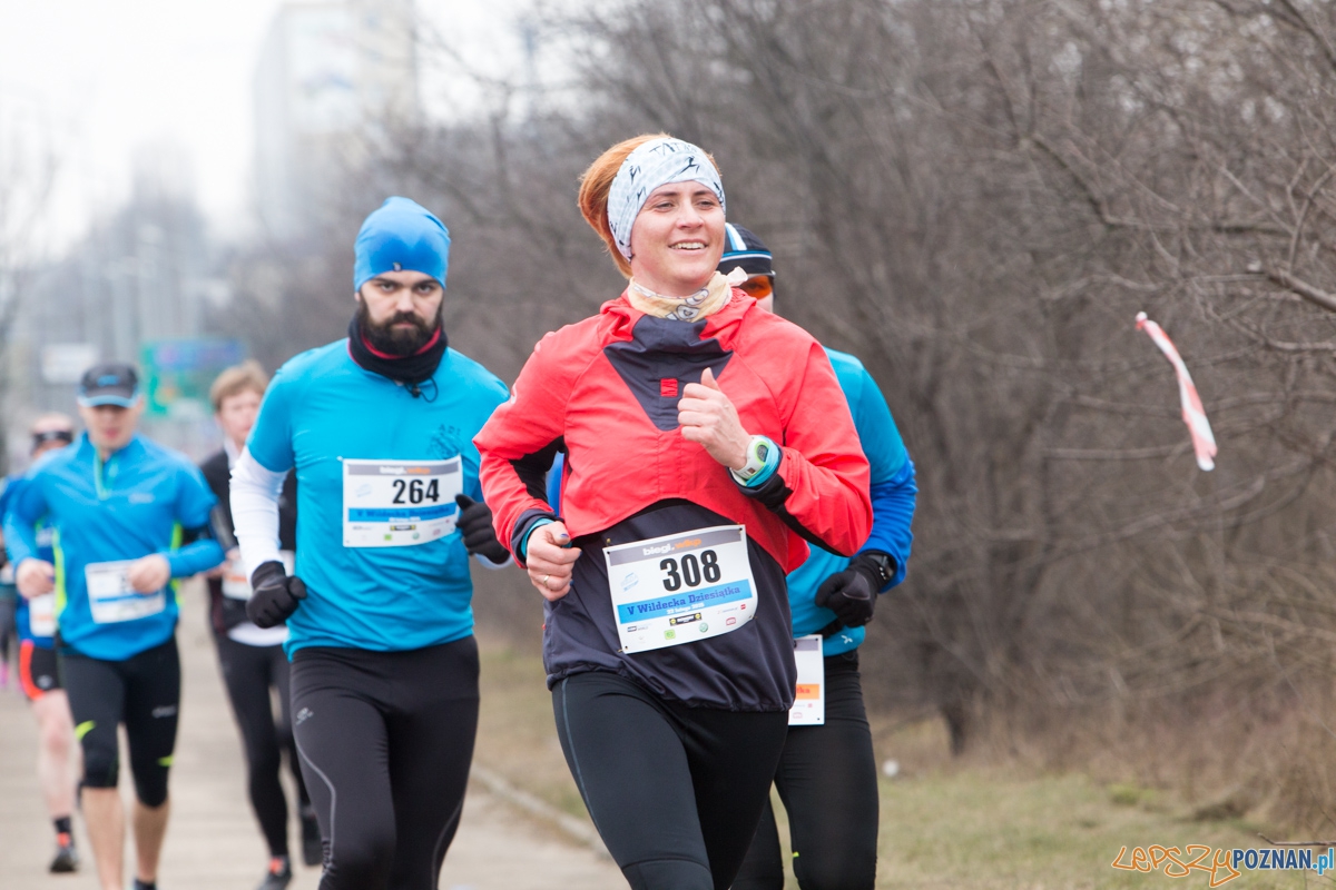 V Wildecka Dziesiątka Foto: lepszyPOZNAN.pl / Piotr Rychter V Wildecka Dziesiątka Foto: lepszyPOZNAN.pl / Piotr Rychter