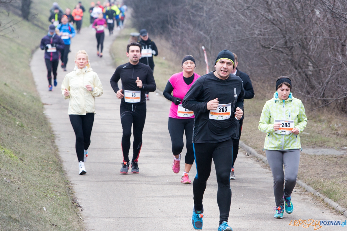 V Wildecka Dziesiątka Foto: lepszyPOZNAN.pl / Piotr Rychter V Wildecka Dziesiątka Foto: lepszyPOZNAN.pl / Piotr Rychter