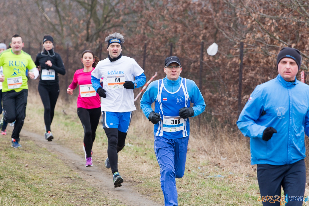 V Wildecka Dziesiątka Foto: lepszyPOZNAN.pl / Piotr Rychter V Wildecka Dziesiątka Foto: lepszyPOZNAN.pl / Piotr Rychter