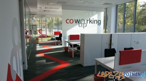 Bussines Link Foto: Bussines Link Foto: