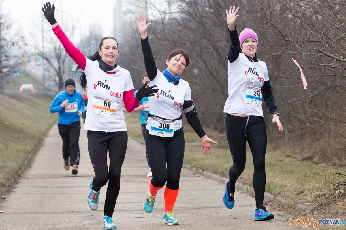 V Wildecka Dziesiątka Foto: lepszyPOZNAN.pl / Piotr Rychter V Wildecka Dziesiątka Foto: lepszyPOZNAN.pl / Piotr Rychter