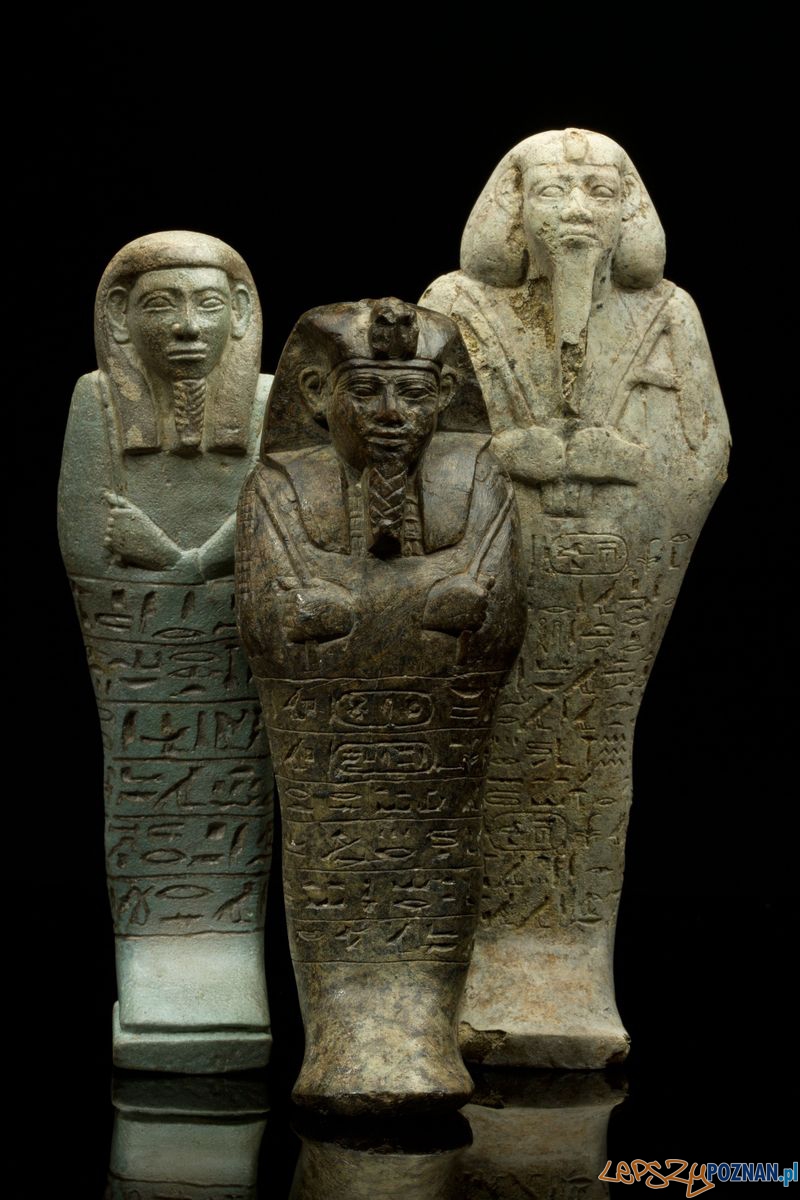 Uszebti królewskie z Nuri, Sudan, datowane na VII w. p.n.e. Foto: M. Jórdeczka/ Muzeum Archeologiczne Uszebti królewskie z Nuri, Sudan, datowane na VII w. p.n.e. Foto: M. Jórdeczka/ Muzeum Archeologiczne