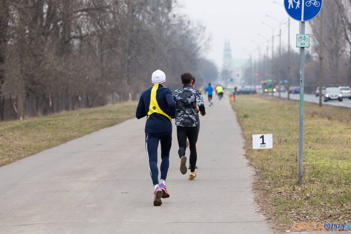 V Wildecka Dziesiątka Foto: lepszyPOZNAN.pl / Piotr Rychter V Wildecka Dziesiątka Foto: lepszyPOZNAN.pl / Piotr Rychter