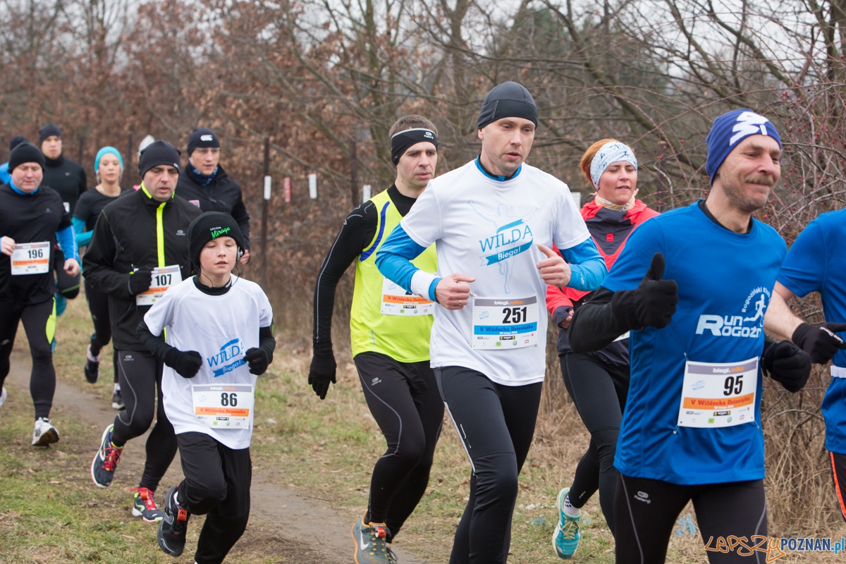 V Wildecka Dziesiątka Foto: lepszyPOZNAN.pl / Piotr Rychter V Wildecka Dziesiątka Foto: lepszyPOZNAN.pl / Piotr Rychter