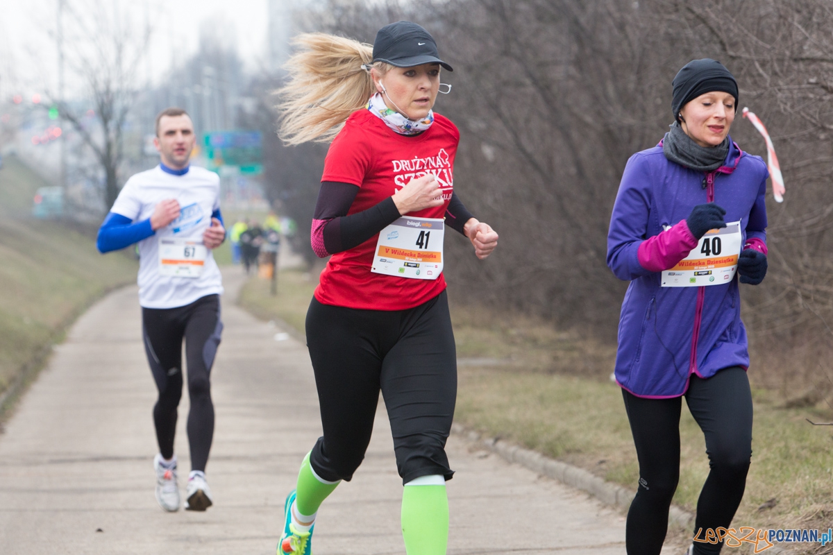 V Wildecka Dziesiątka Foto: lepszyPOZNAN.pl / Piotr Rychter V Wildecka Dziesiątka Foto: lepszyPOZNAN.pl / Piotr Rychter