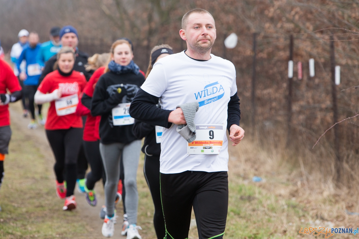 V Wildecka Dziesiątka Foto: lepszyPOZNAN.pl / Piotr Rychter V Wildecka Dziesiątka Foto: lepszyPOZNAN.pl / Piotr Rychter