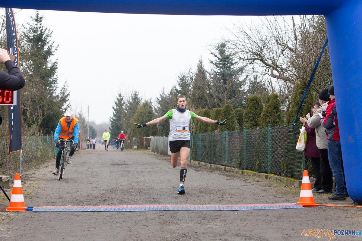 V Wildecka Dziesiątka Foto: lepszyPOZNAN.pl / Piotr Rychter V Wildecka Dziesiątka Foto: lepszyPOZNAN.pl / Piotr Rychter