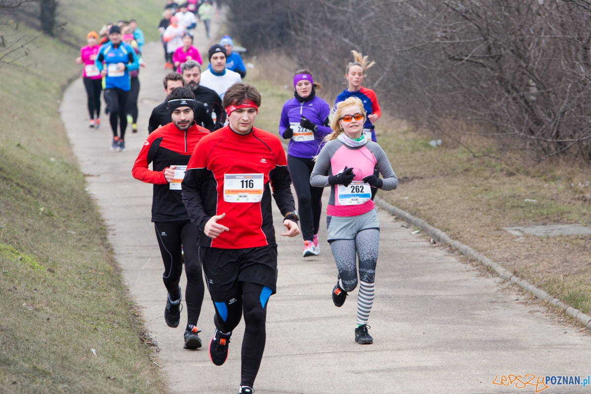 V Wildecka Dziesiątka Foto: lepszyPOZNAN.pl / Piotr Rychter V Wildecka Dziesiątka Foto: lepszyPOZNAN.pl / Piotr Rychter