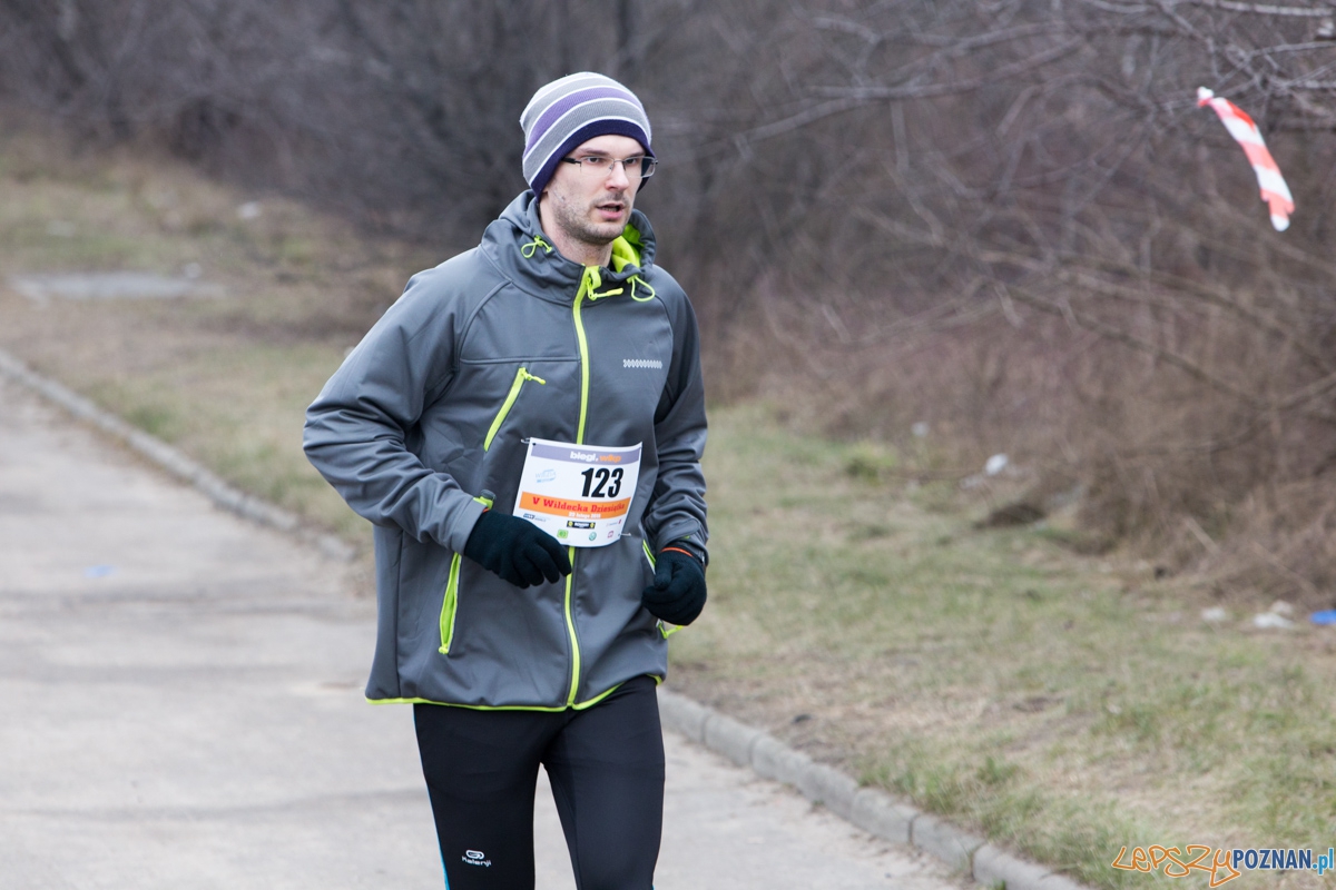 V Wildecka Dziesiątka Foto: lepszyPOZNAN.pl / Piotr Rychter V Wildecka Dziesiątka Foto: lepszyPOZNAN.pl / Piotr Rychter