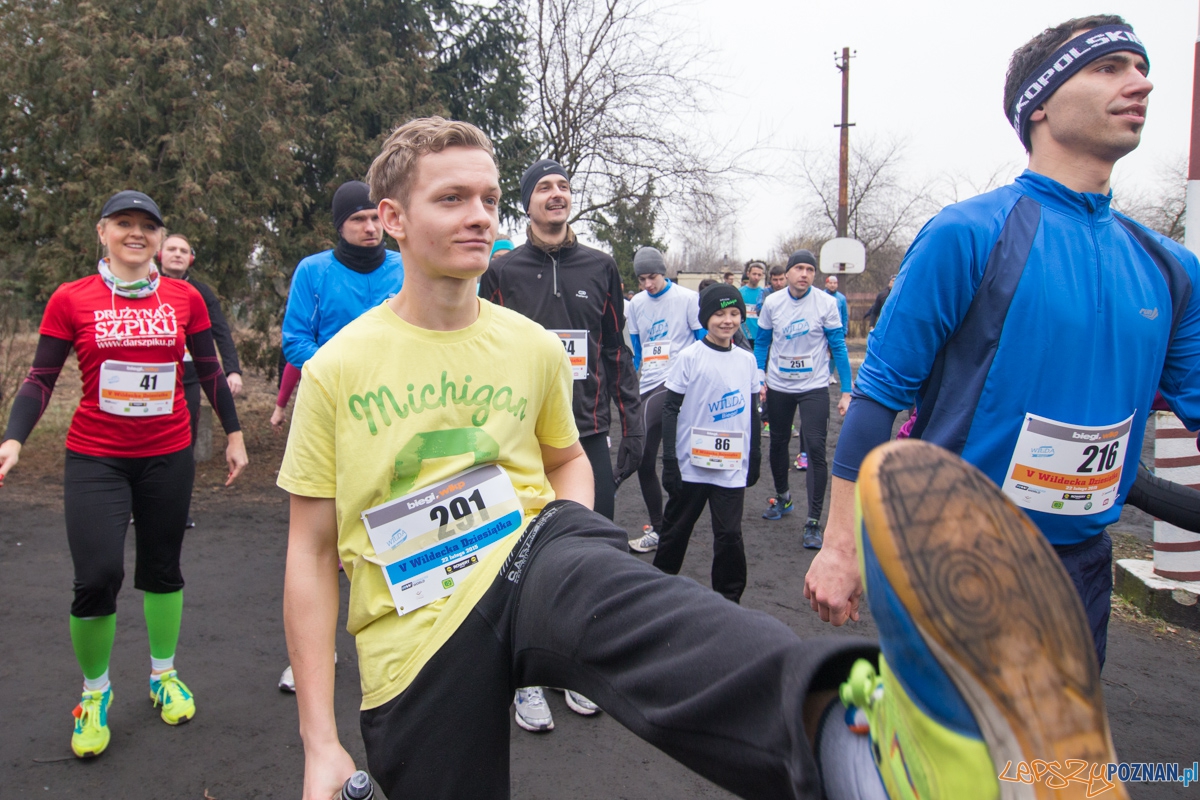 V Wildecka Dziesiątka Foto: lepszyPOZNAN.pl / Piotr Rychter V Wildecka Dziesiątka Foto: lepszyPOZNAN.pl / Piotr Rychter