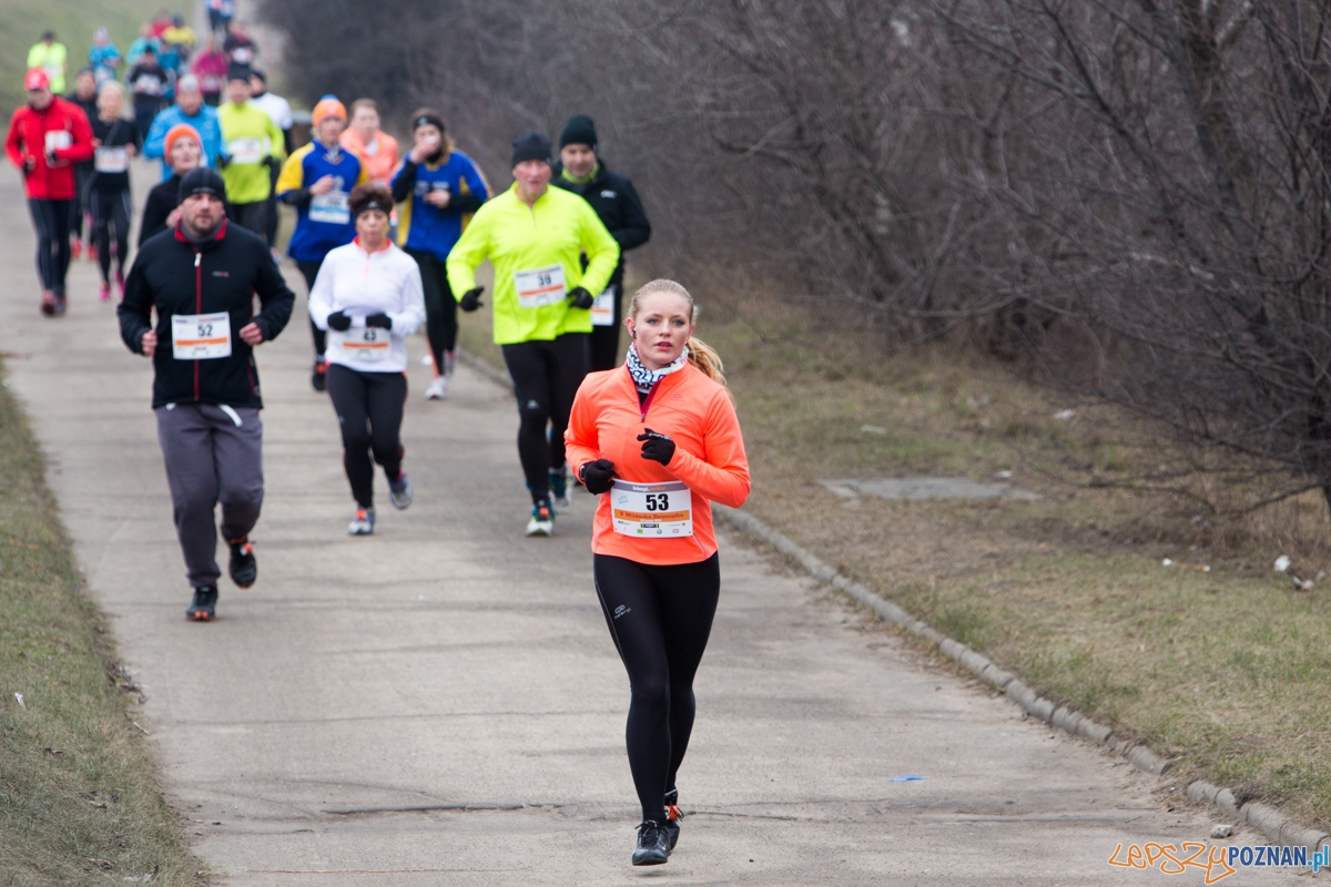 V Wildecka Dziesiątka Foto: lepszyPOZNAN.pl / Piotr Rychter V Wildecka Dziesiątka Foto: lepszyPOZNAN.pl / Piotr Rychter