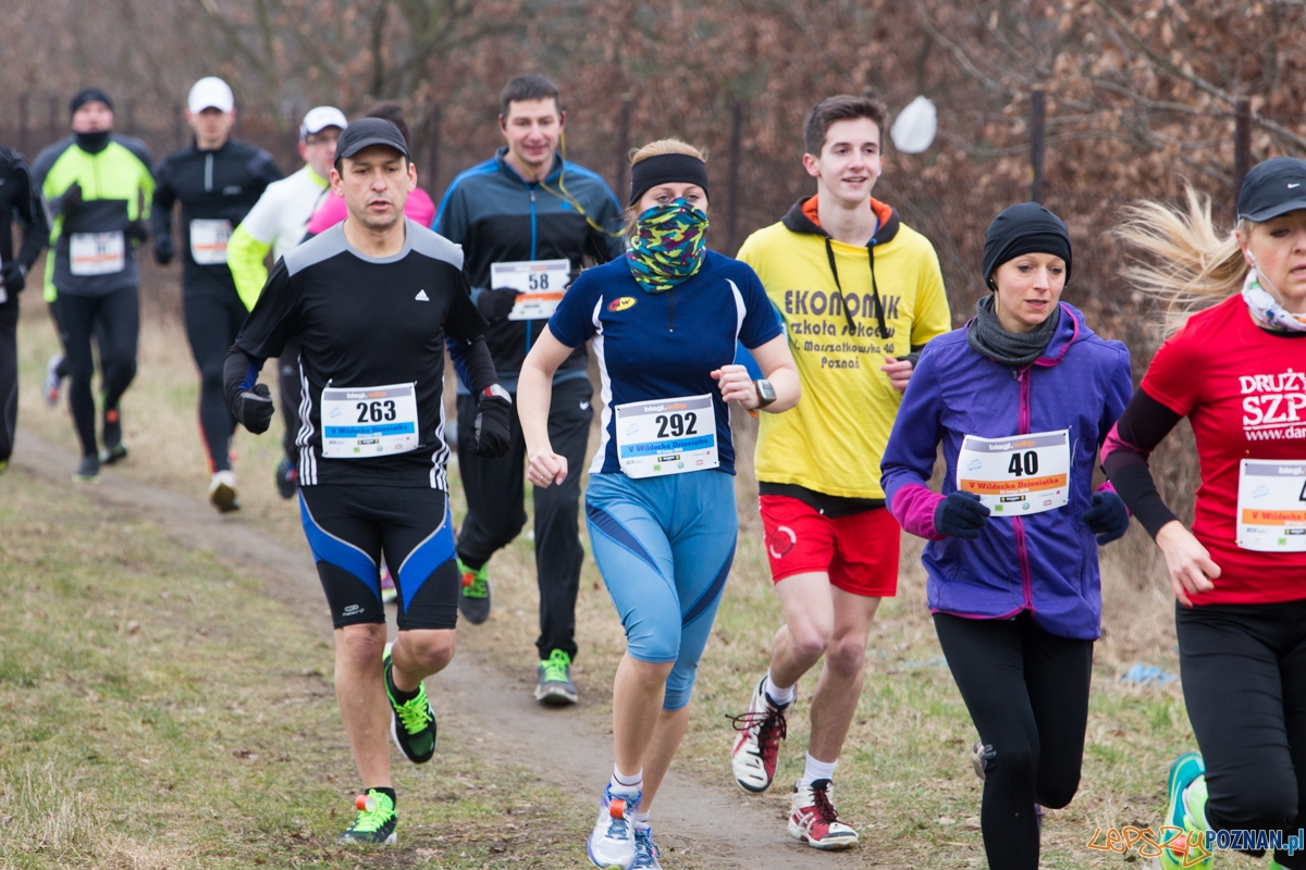 V Wildecka Dziesiątka Foto: lepszyPOZNAN.pl / Piotr Rychter V Wildecka Dziesiątka Foto: lepszyPOZNAN.pl / Piotr Rychter