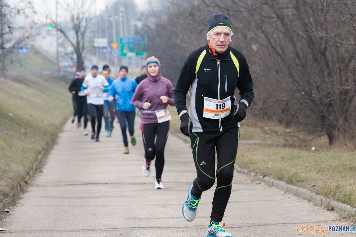 V Wildecka Dziesiątka Foto: lepszyPOZNAN.pl / Piotr Rychter V Wildecka Dziesiątka Foto: lepszyPOZNAN.pl / Piotr Rychter