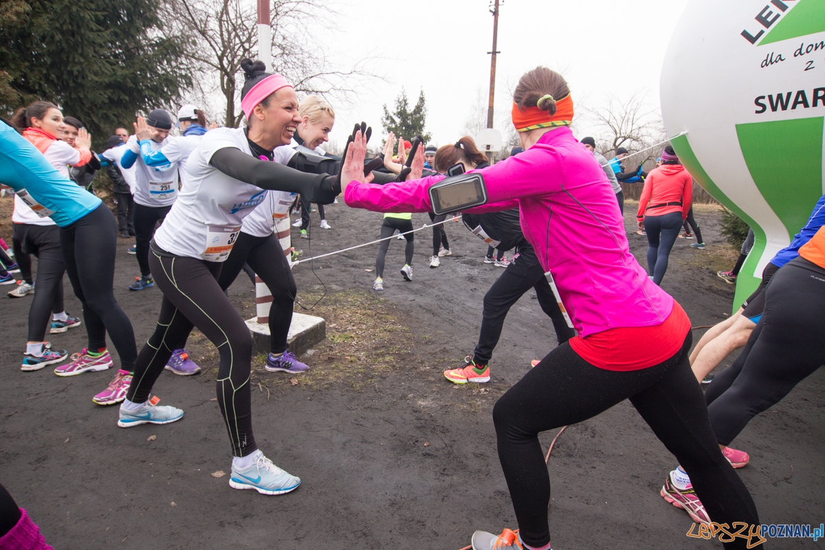 V Wildecka Dziesiątka Foto: lepszyPOZNAN.pl / Piotr Rychter V Wildecka Dziesiątka Foto: lepszyPOZNAN.pl / Piotr Rychter
