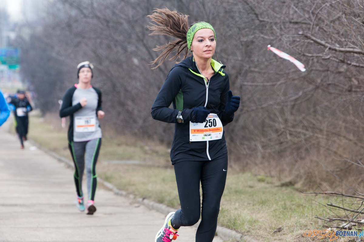 V Wildecka Dziesiątka Foto: lepszyPOZNAN.pl / Piotr Rychter V Wildecka Dziesiątka Foto: lepszyPOZNAN.pl / Piotr Rychter