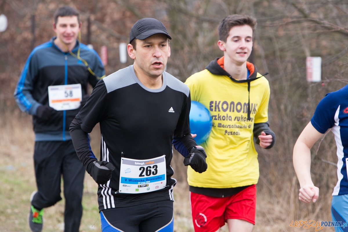 V Wildecka Dziesiątka Foto: lepszyPOZNAN.pl / Piotr Rychter V Wildecka Dziesiątka Foto: lepszyPOZNAN.pl / Piotr Rychter