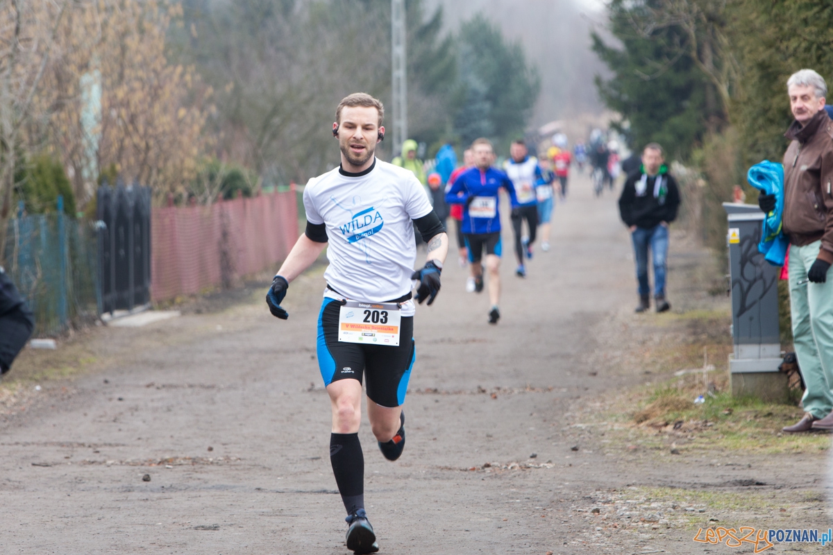 V Wildecka Dziesiątka Foto: lepszyPOZNAN.pl / Piotr Rychter V Wildecka Dziesiątka Foto: lepszyPOZNAN.pl / Piotr Rychter