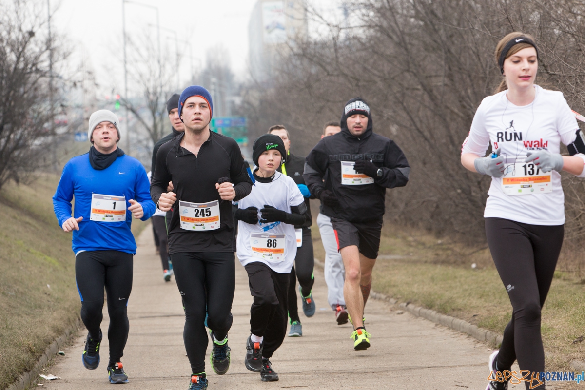 V Wildecka Dziesiątka Foto: lepszyPOZNAN.pl / Piotr Rychter V Wildecka Dziesiątka Foto: lepszyPOZNAN.pl / Piotr Rychter