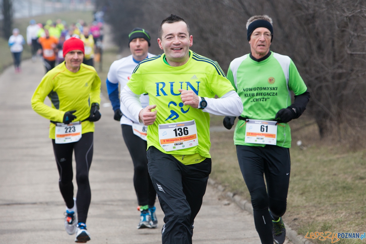 V Wildecka Dziesiątka Foto: lepszyPOZNAN.pl / Piotr Rychter V Wildecka Dziesiątka Foto: lepszyPOZNAN.pl / Piotr Rychter