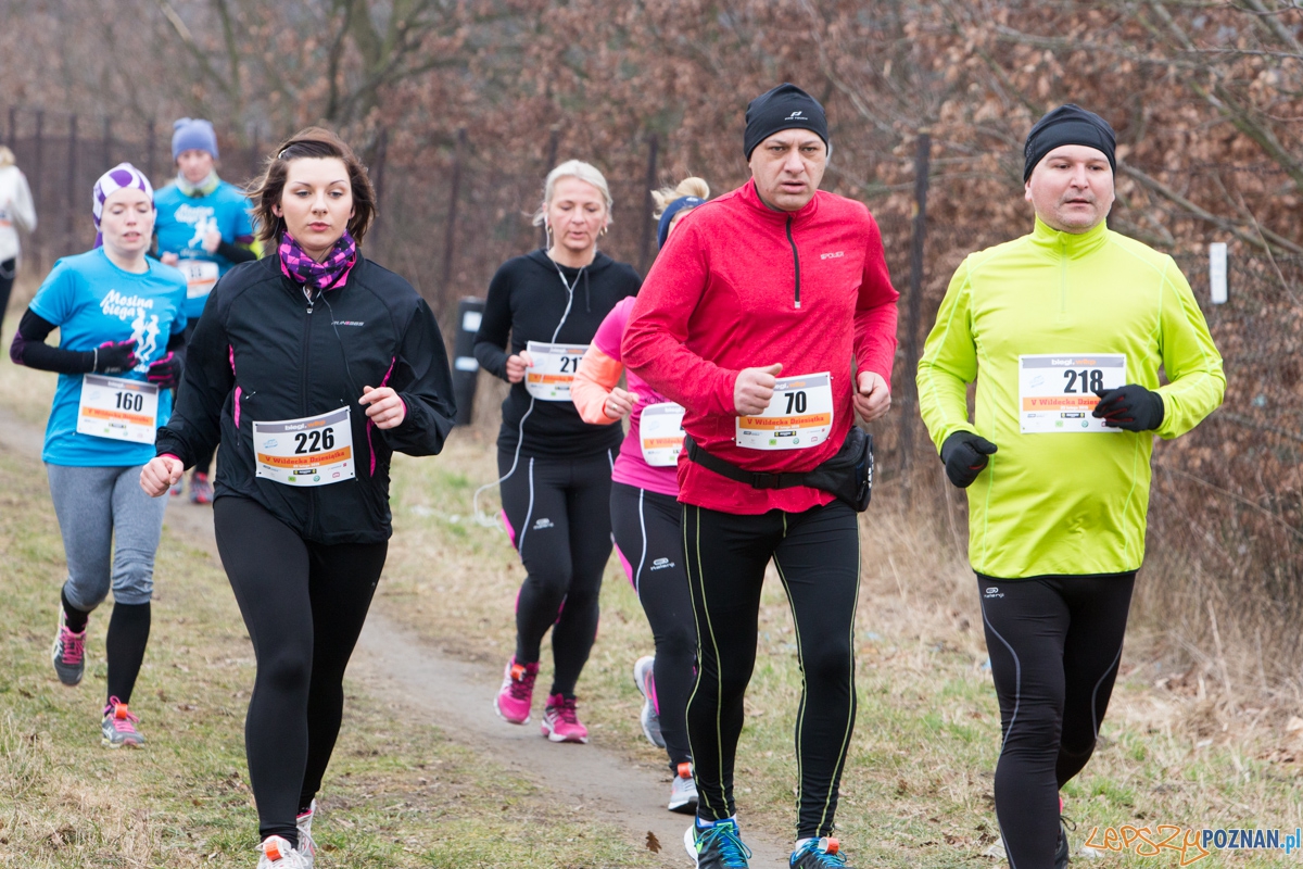 V Wildecka Dziesiątka Foto: lepszyPOZNAN.pl / Piotr Rychter V Wildecka Dziesiątka Foto: lepszyPOZNAN.pl / Piotr Rychter