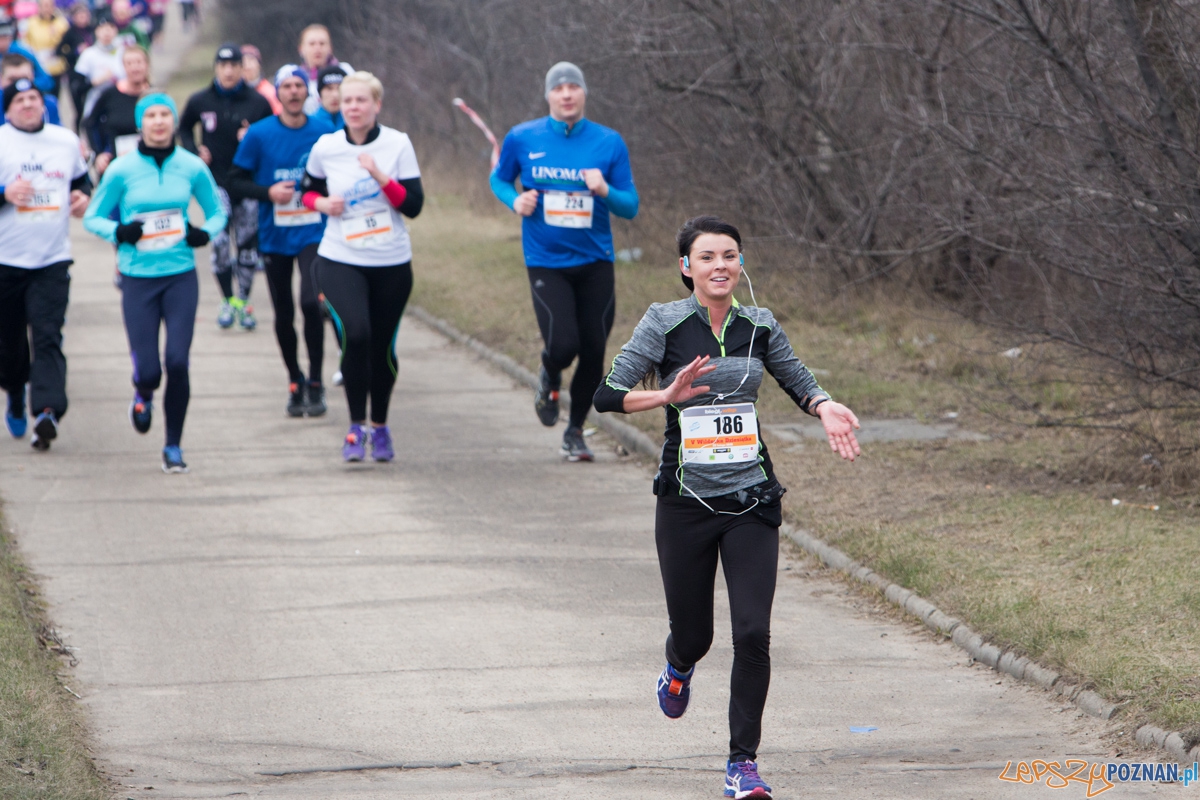 V Wildecka Dziesiątka Foto: lepszyPOZNAN.pl / Piotr Rychter V Wildecka Dziesiątka Foto: lepszyPOZNAN.pl / Piotr Rychter