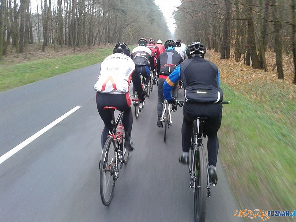 Zgrupka Luboń Foto: Zgrupka Luboń Zgrupka Luboń Foto: Zgrupka Luboń