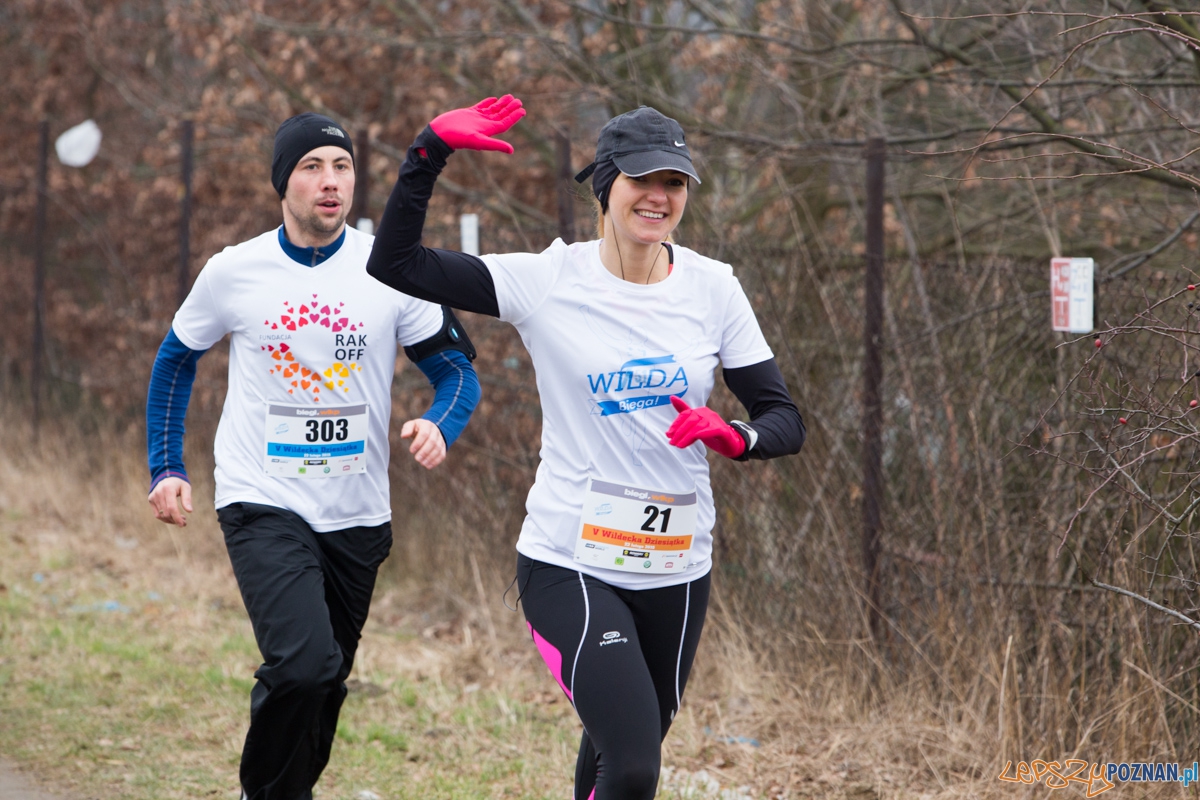 V Wildecka Dziesiątka Foto: lepszyPOZNAN.pl / Piotr Rychter V Wildecka Dziesiątka Foto: lepszyPOZNAN.pl / Piotr Rychter