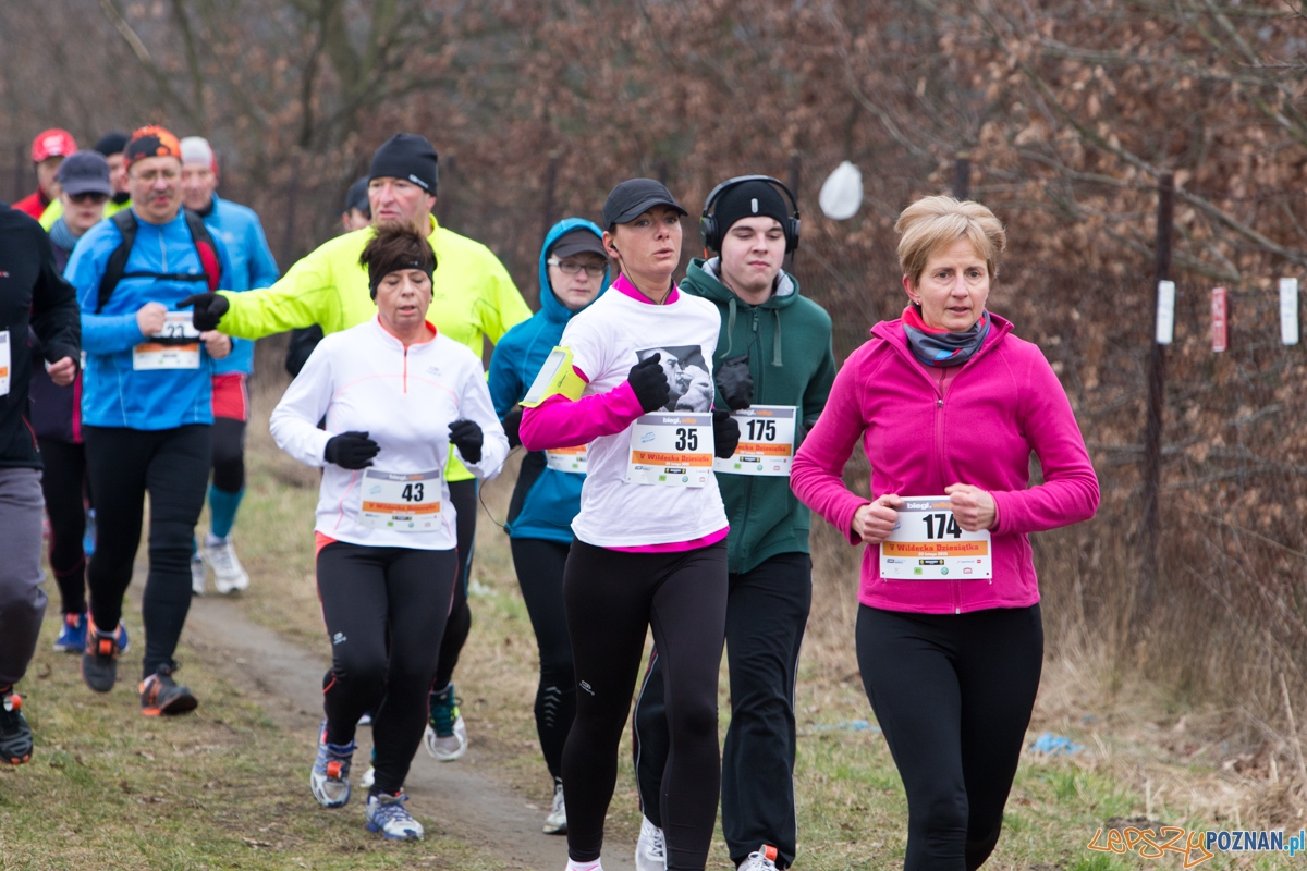 V Wildecka Dziesiątka Foto: lepszyPOZNAN.pl / Piotr Rychter V Wildecka Dziesiątka Foto: lepszyPOZNAN.pl / Piotr Rychter