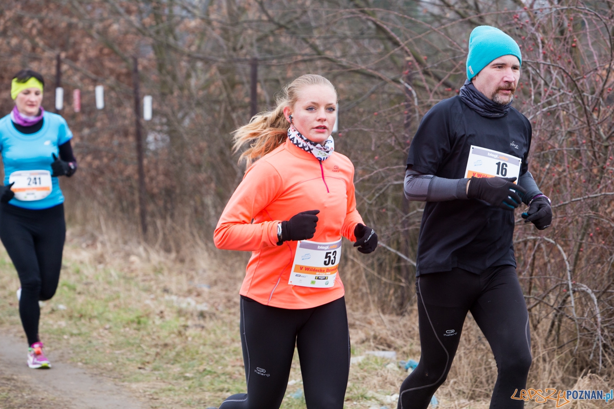 V Wildecka Dziesiątka Foto: lepszyPOZNAN.pl / Piotr Rychter V Wildecka Dziesiątka Foto: lepszyPOZNAN.pl / Piotr Rychter