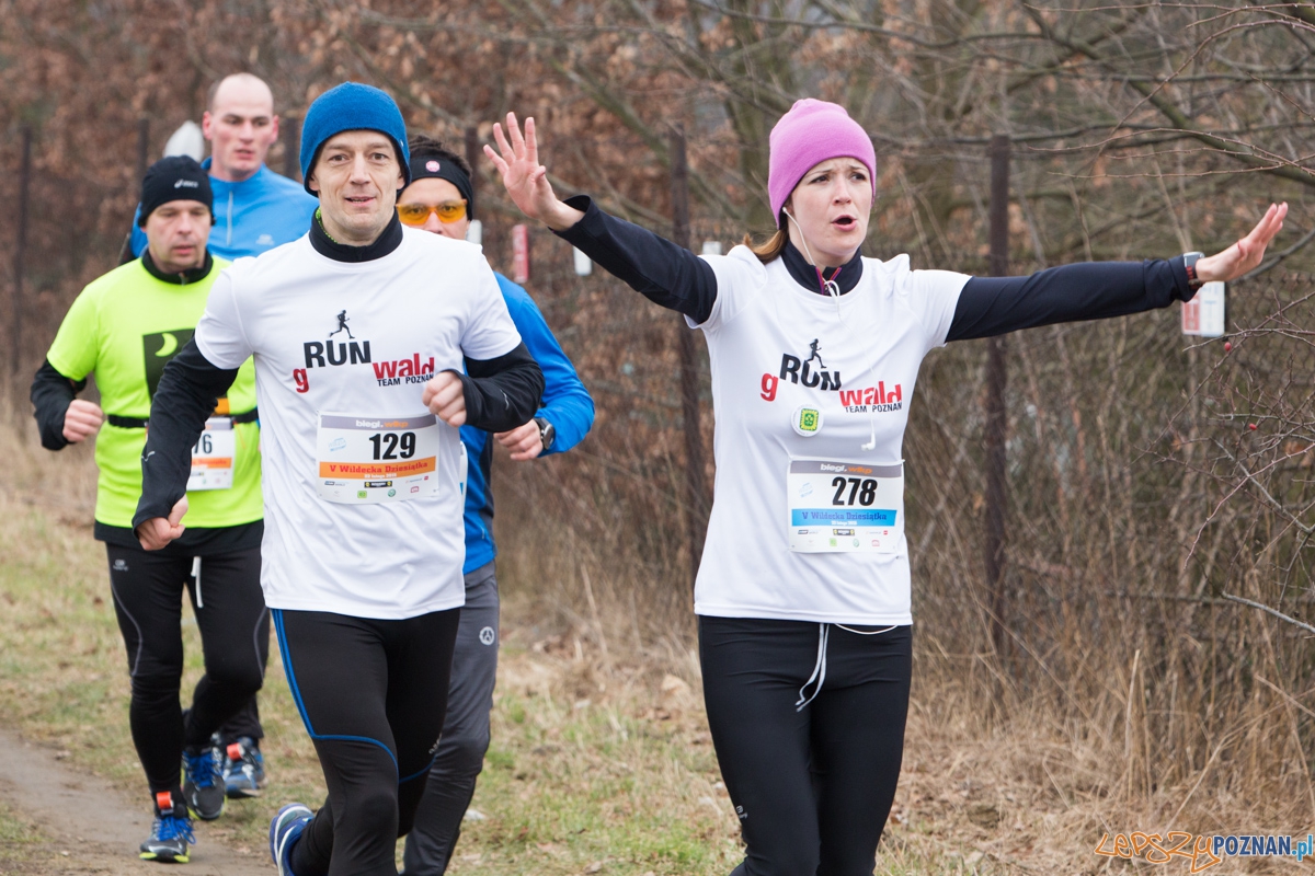 V Wildecka Dziesiątka Foto: lepszyPOZNAN.pl / Piotr Rychter V Wildecka Dziesiątka Foto: lepszyPOZNAN.pl / Piotr Rychter