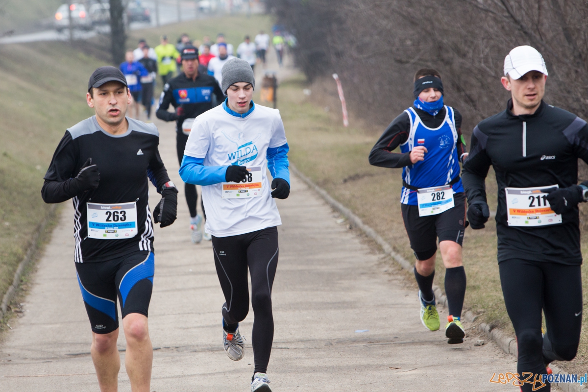 V Wildecka Dziesiątka Foto: lepszyPOZNAN.pl / Piotr Rychter V Wildecka Dziesiątka Foto: lepszyPOZNAN.pl / Piotr Rychter
