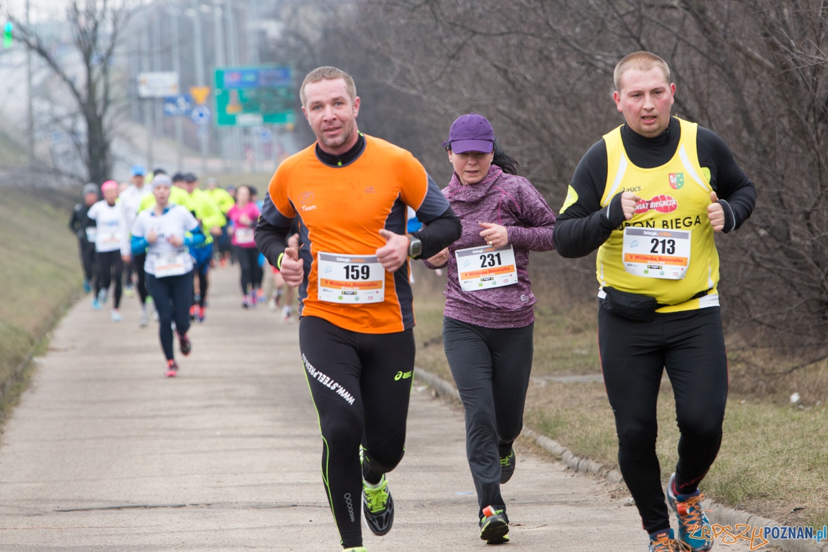 V Wildecka Dziesiątka Foto: lepszyPOZNAN.pl / Piotr Rychter V Wildecka Dziesiątka Foto: lepszyPOZNAN.pl / Piotr Rychter