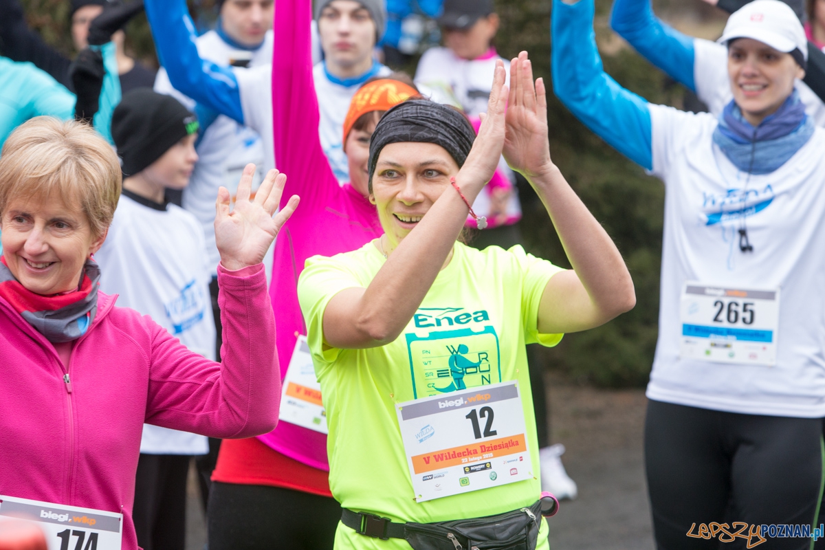 V Wildecka Dziesiątka Foto: lepszyPOZNAN.pl / Piotr Rychter V Wildecka Dziesiątka Foto: lepszyPOZNAN.pl / Piotr Rychter
