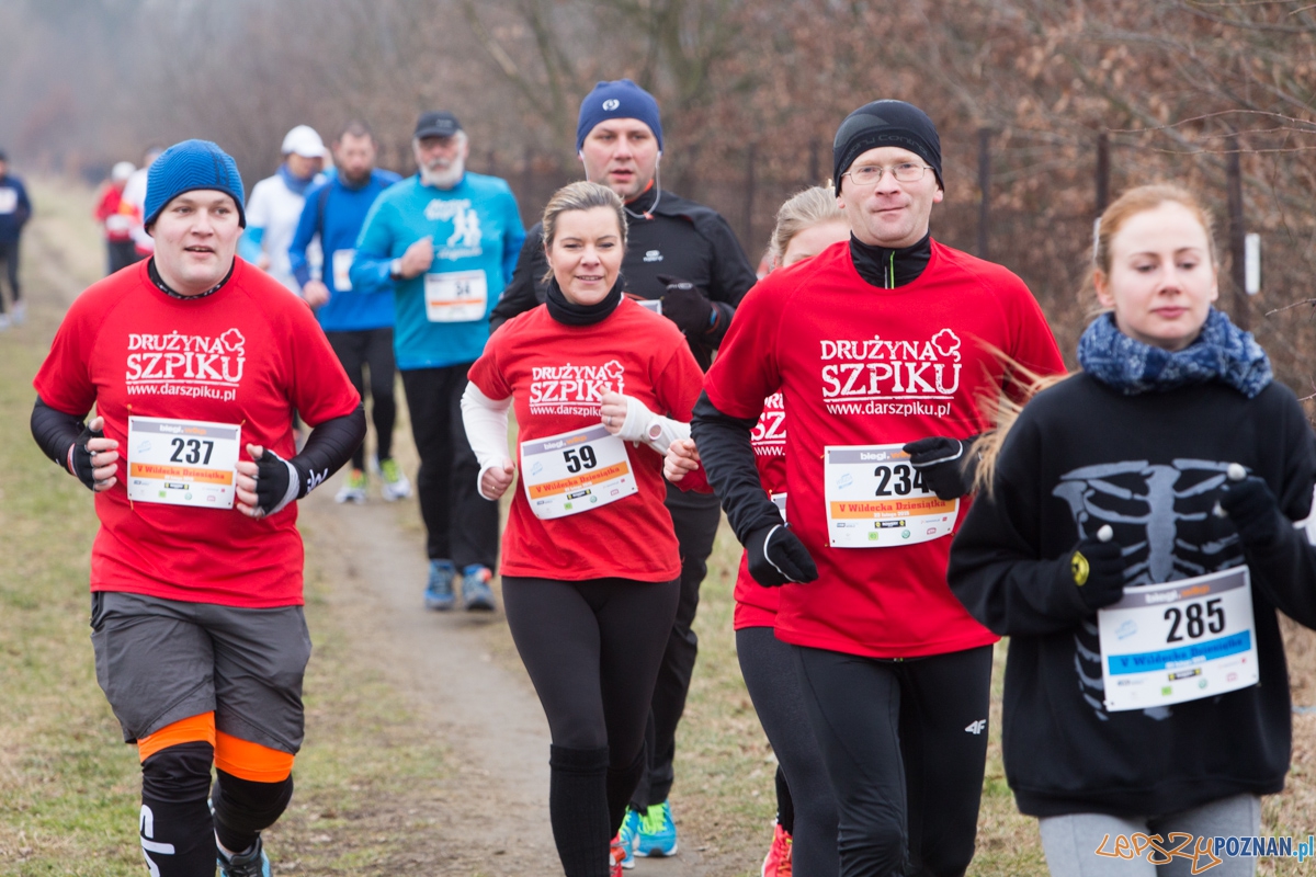 V Wildecka Dziesiątka Foto: lepszyPOZNAN.pl / Piotr Rychter V Wildecka Dziesiątka Foto: lepszyPOZNAN.pl / Piotr Rychter
