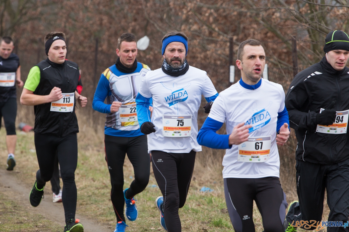 V Wildecka Dziesiątka Foto: lepszyPOZNAN.pl / Piotr Rychter V Wildecka Dziesiątka Foto: lepszyPOZNAN.pl / Piotr Rychter