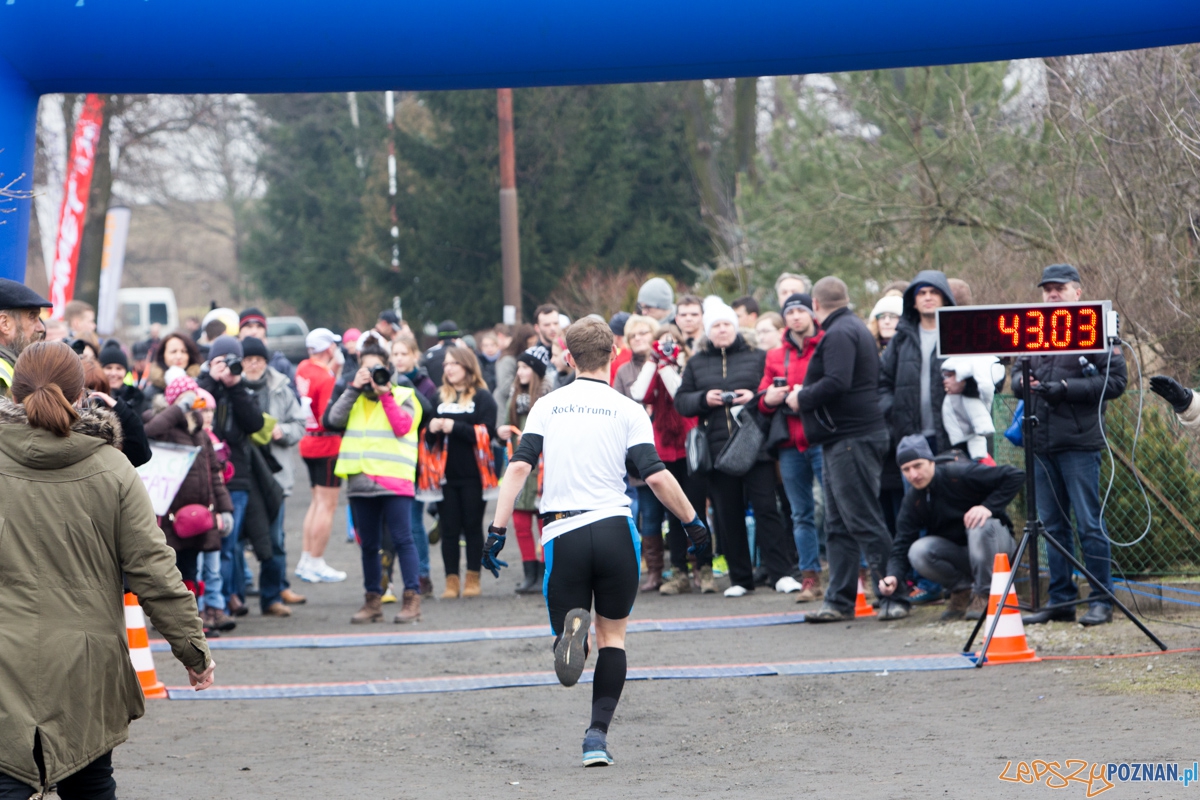 V Wildecka Dziesiątka Foto: lepszyPOZNAN.pl / Piotr Rychter V Wildecka Dziesiątka Foto: lepszyPOZNAN.pl / Piotr Rychter