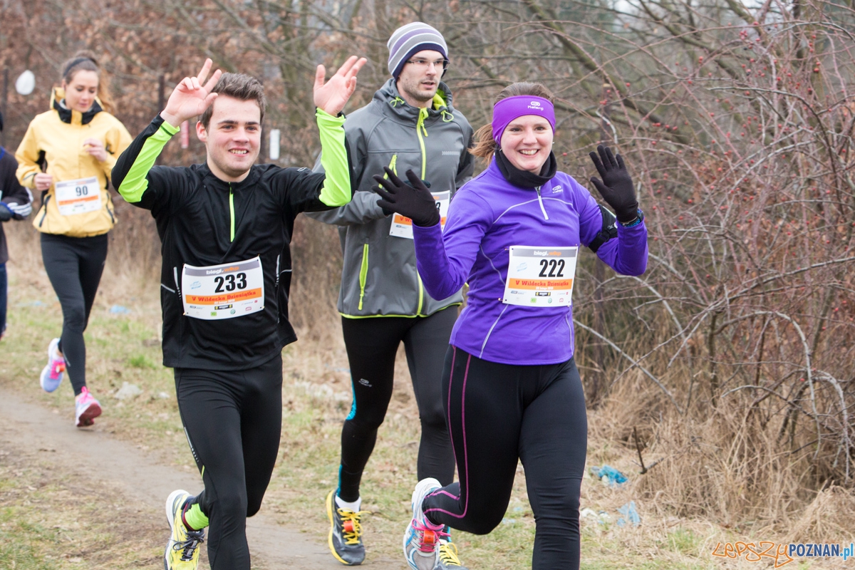 V Wildecka Dziesiątka Foto: lepszyPOZNAN.pl / Piotr Rychter V Wildecka Dziesiątka Foto: lepszyPOZNAN.pl / Piotr Rychter