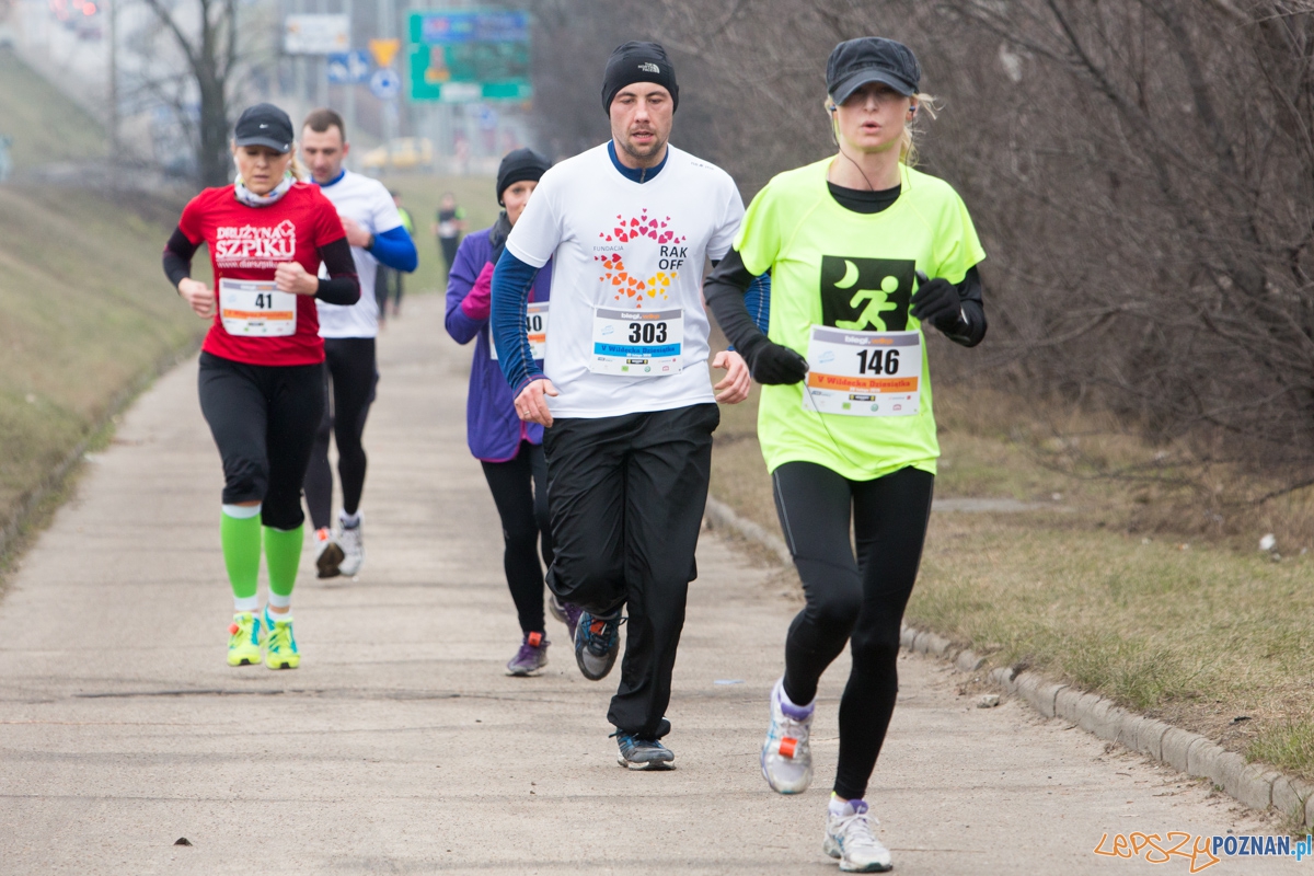 V Wildecka Dziesiątka Foto: lepszyPOZNAN.pl / Piotr Rychter V Wildecka Dziesiątka Foto: lepszyPOZNAN.pl / Piotr Rychter