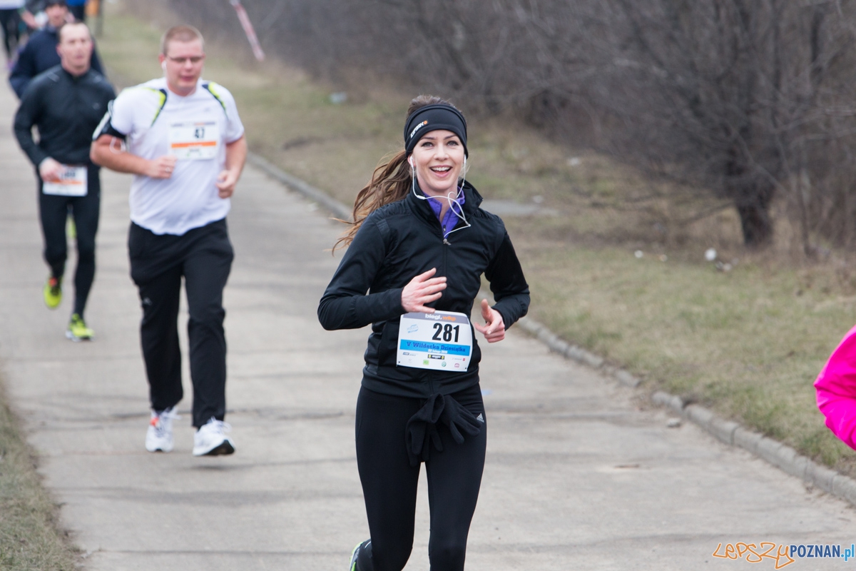 V Wildecka Dziesiątka Foto: lepszyPOZNAN.pl / Piotr Rychter V Wildecka Dziesiątka Foto: lepszyPOZNAN.pl / Piotr Rychter