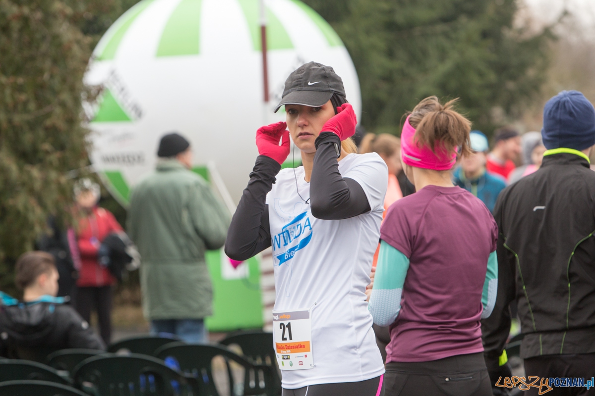 V Wildecka Dziesiątka Foto: lepszyPOZNAN.pl / Piotr Rychter V Wildecka Dziesiątka Foto: lepszyPOZNAN.pl / Piotr Rychter