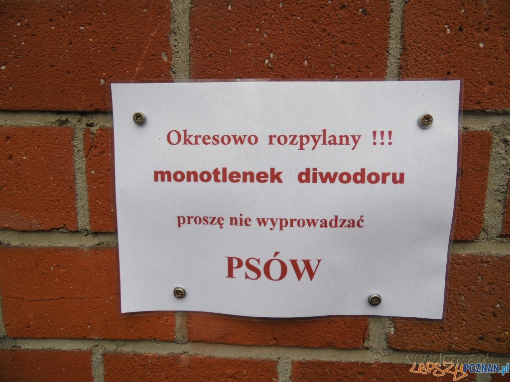 Monotlenek diwodoru straszy właścicieli kejtrów  Foto: lazarz.pl / Janusz Ludwiczak