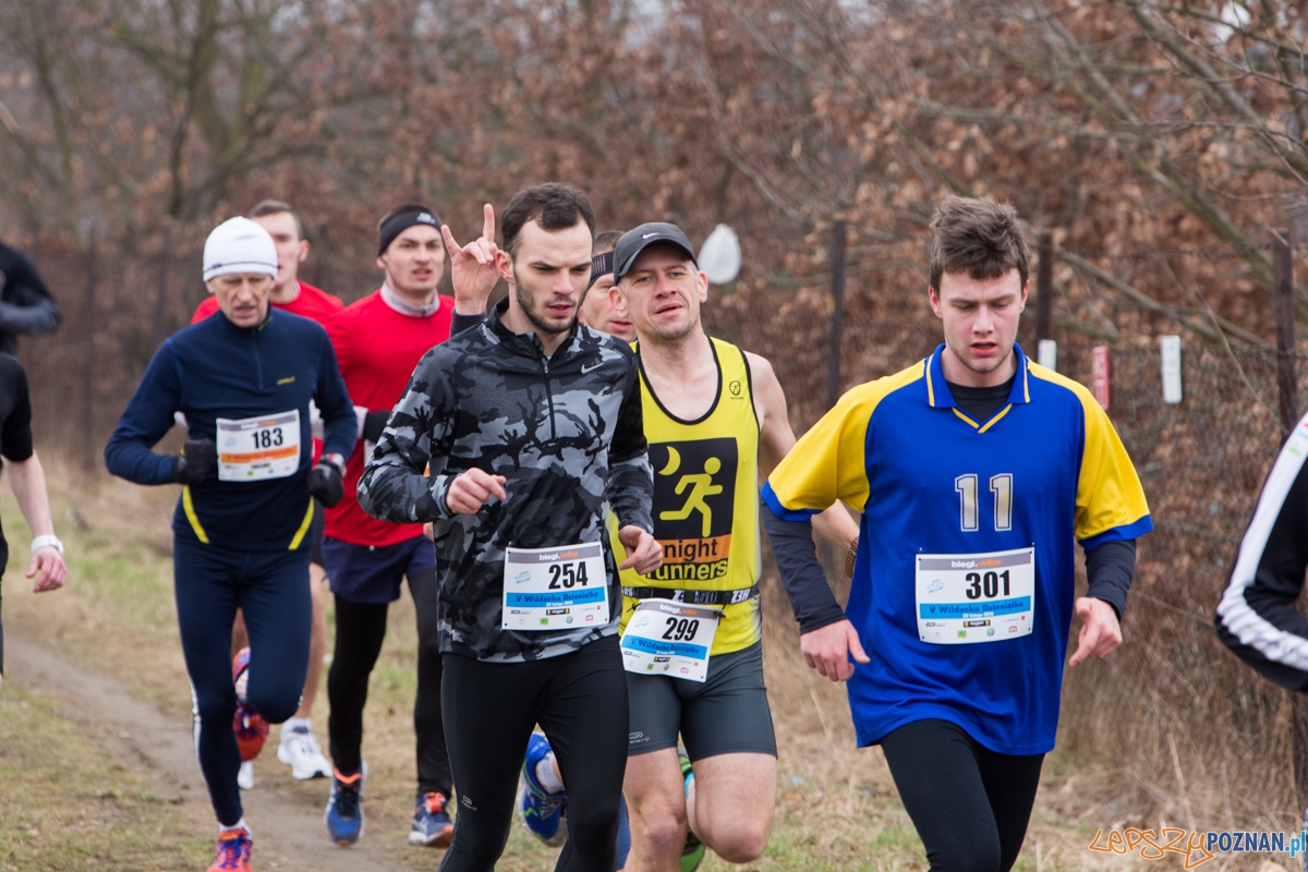 V Wildecka Dziesiątka Foto: lepszyPOZNAN.pl / Piotr Rychter V Wildecka Dziesiątka Foto: lepszyPOZNAN.pl / Piotr Rychter